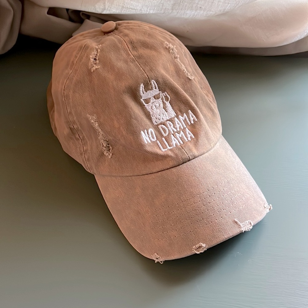 Unique Distressed Baseball Hat - image 1
